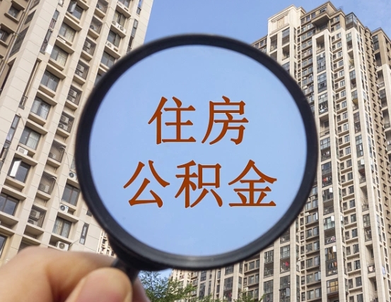 浙江退休后查不到公积金明细了吗（退休后公积金查询不到原因）